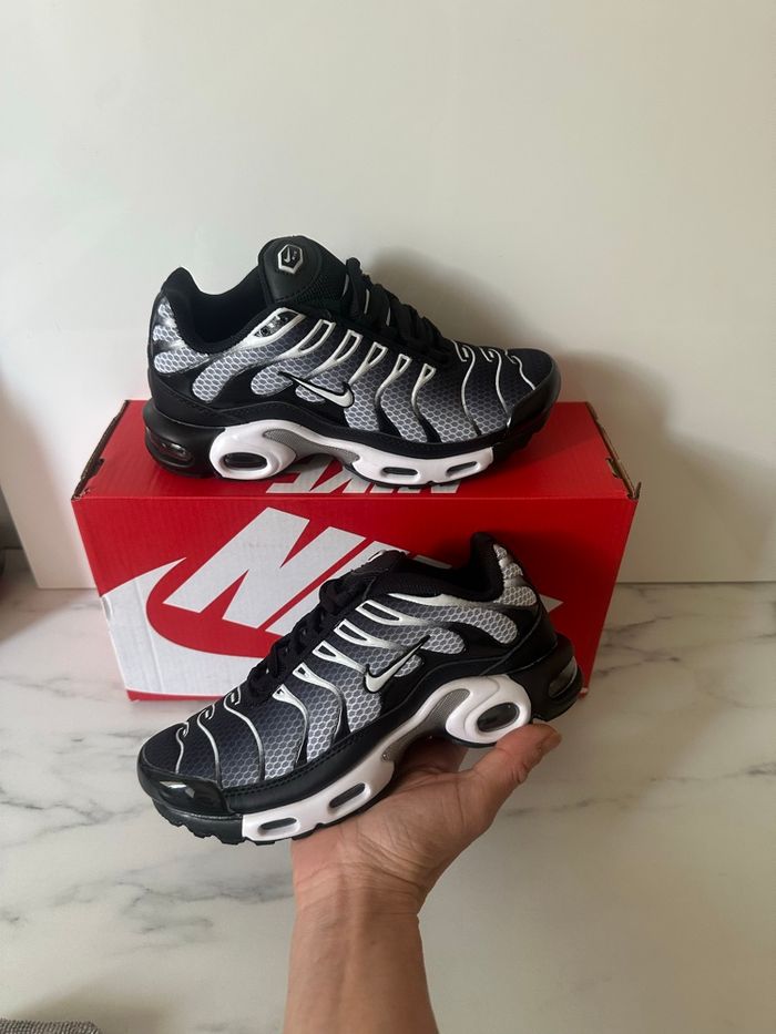 Tn grise - photo numéro 3