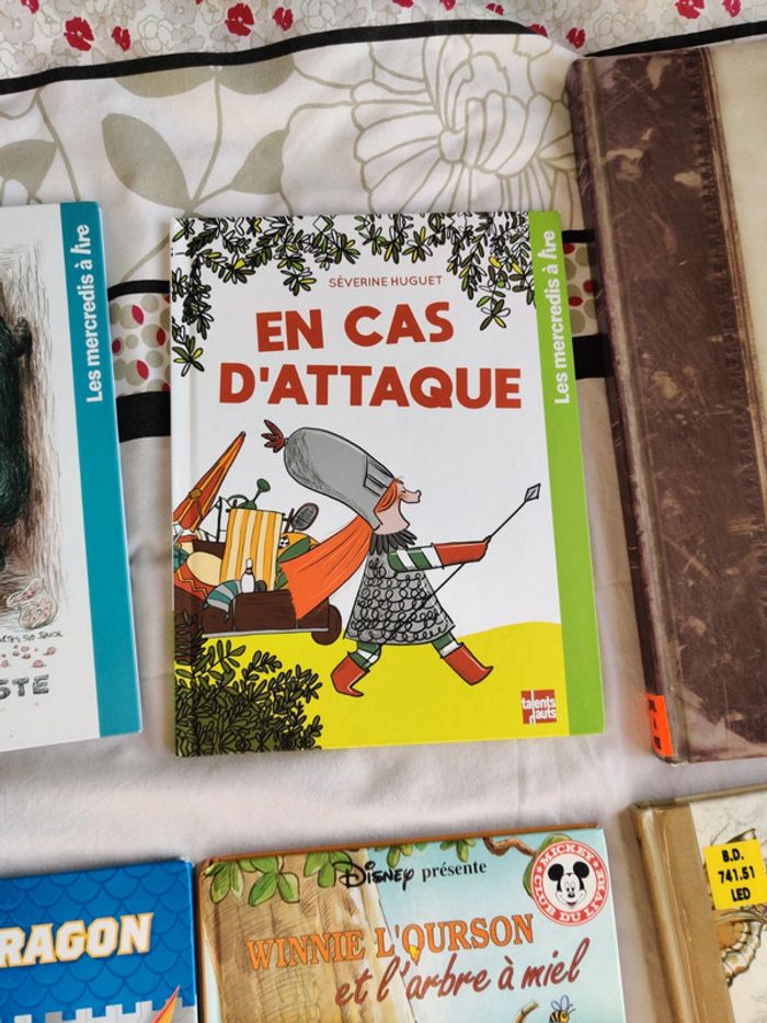 Livres - photo numéro 10