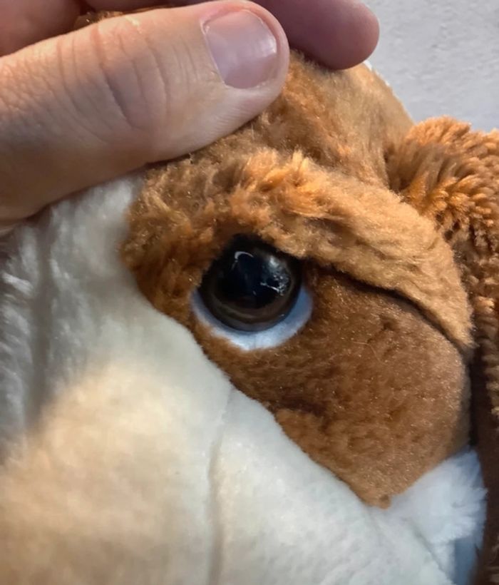 Peluche chien Télé Z Jemini - photo numéro 6
