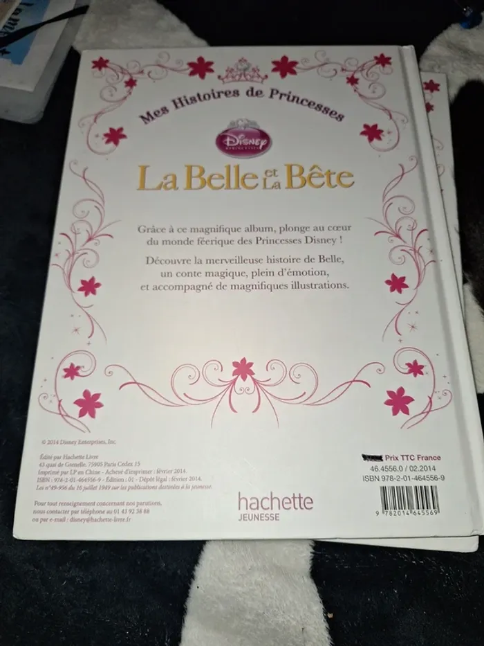 Livre disney - photo numéro 2