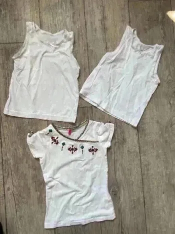 Lot de 3 tee shirt enfant 2 ans