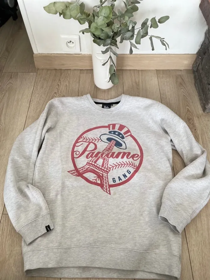 Sweat gris tealer - photo numéro 4
