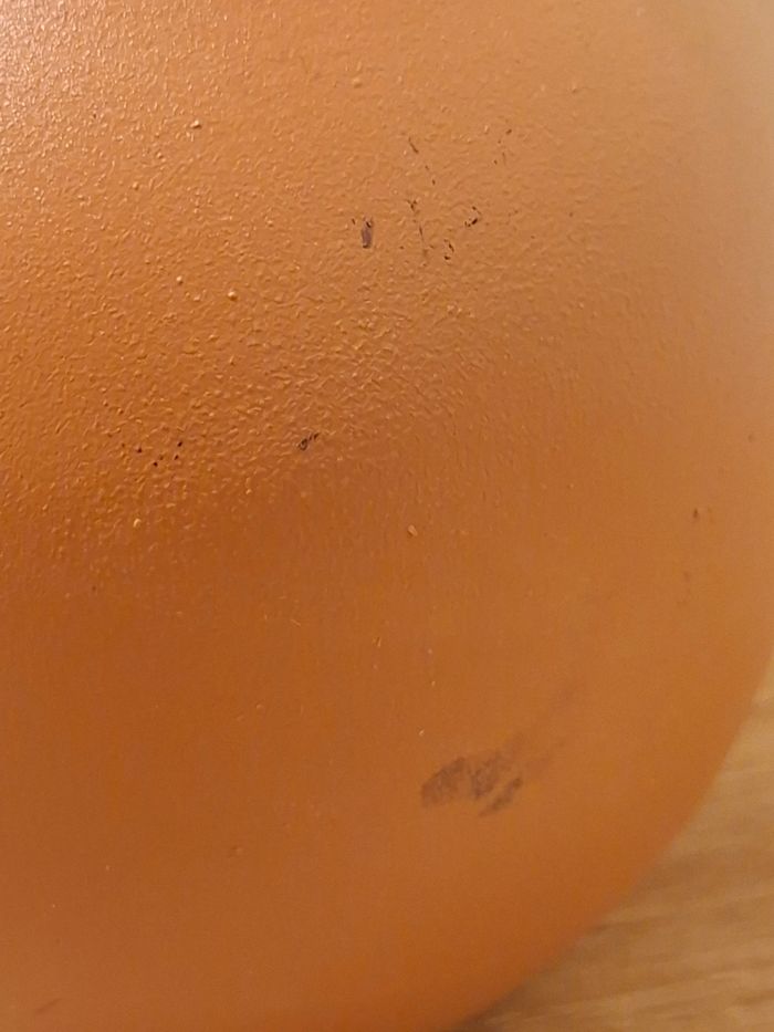 Decorations - photo numéro 5