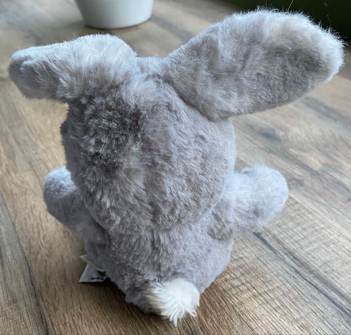 Lapin - photo numéro 2