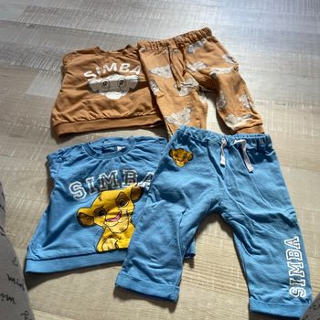 Ensemble simba