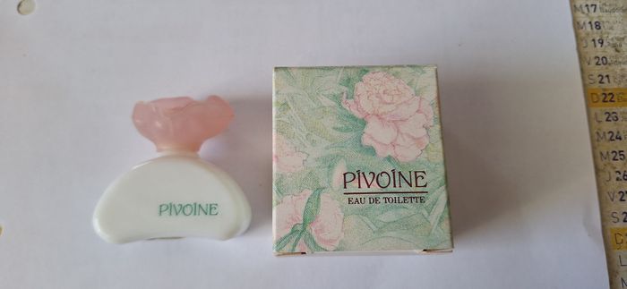 Miniature Pivoine vide Yves Rocher