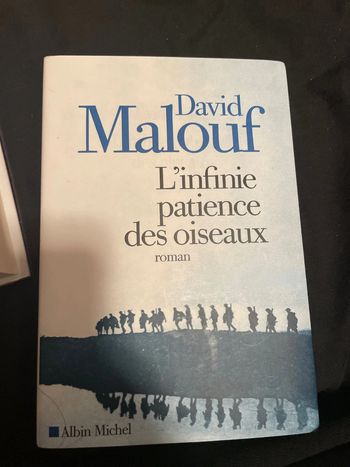 L’infinie patience des oiseaux