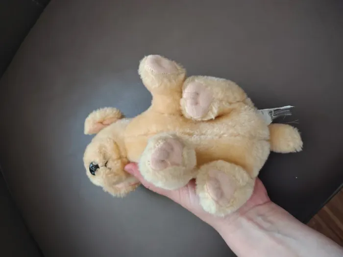 Mini peluche chien beige labrador ? - photo numéro 3