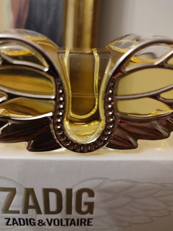 Zadig de Zadig et Voltaire 