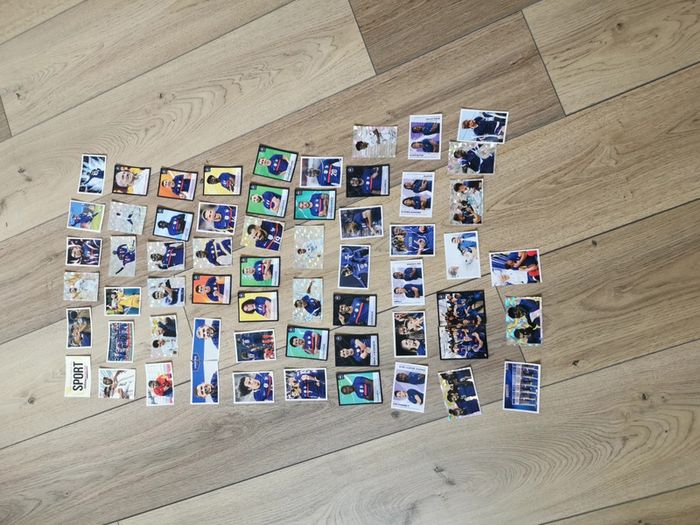 60 stickers panini differents au plus pres des bleus