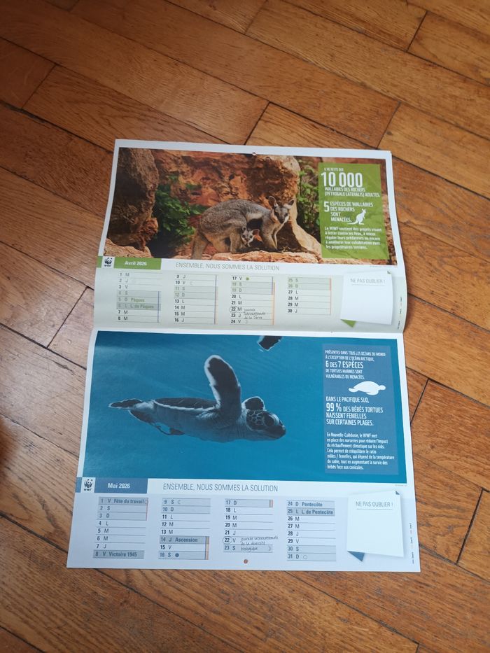 Calendrier 2026 wwf animaux - photo numéro 3