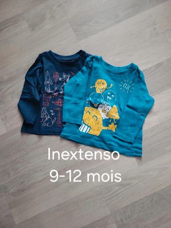Lot tee-shirts "Inextenso" 9-12mois