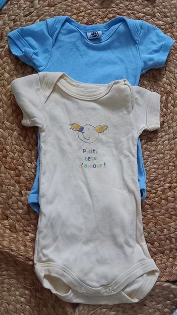Lot 2 bodys Manches courtes Petit Bateau 3 mois