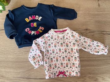 Lot 2 sweat 9 mois fille