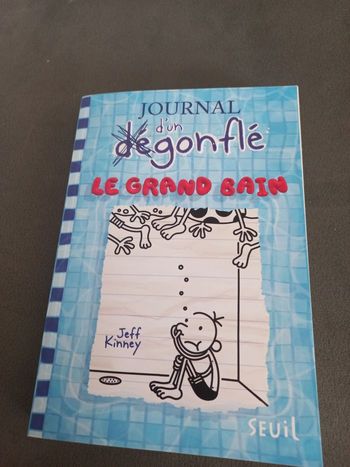 Livre journal d'un dégonflé tome 15