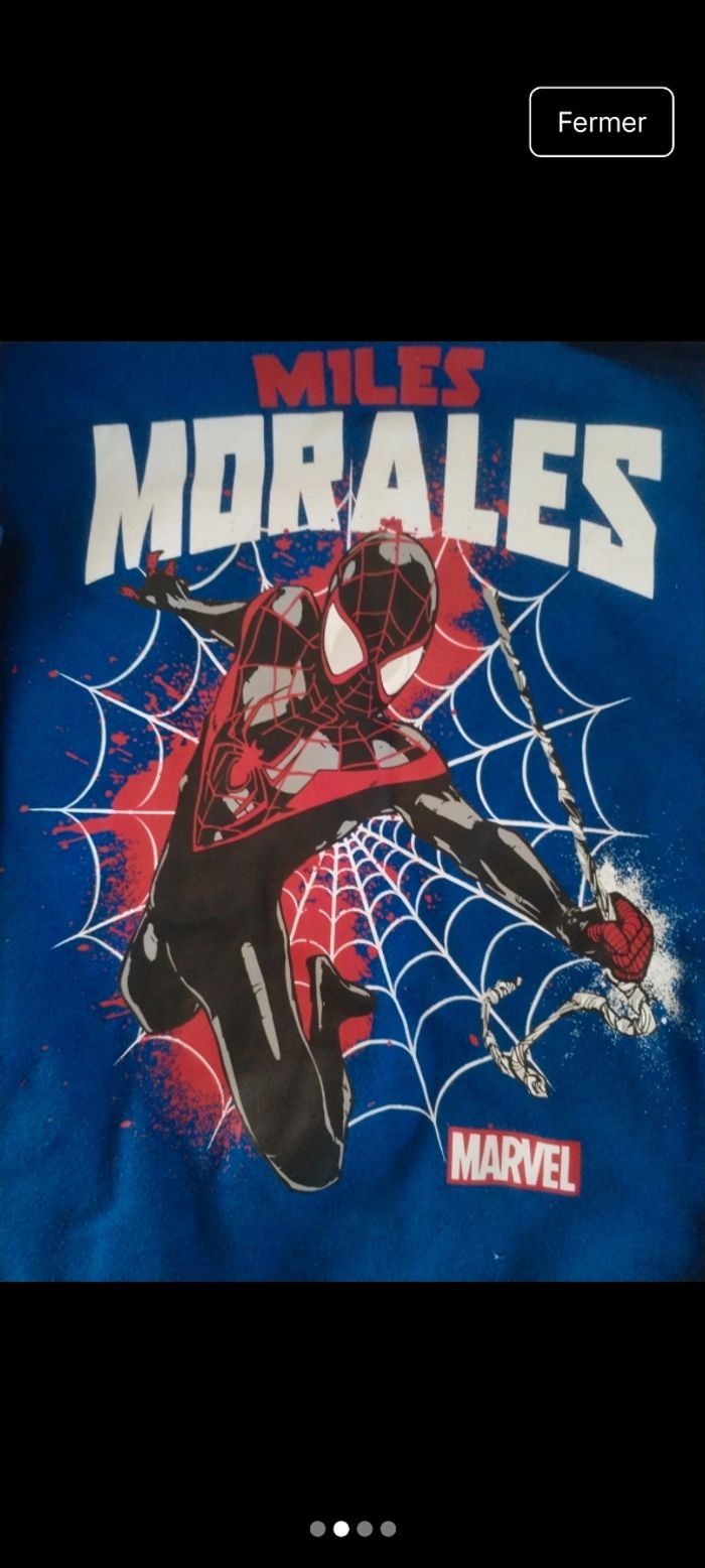 Sweat spiderman - photo numéro 2