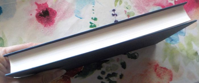 JOURNAL D'UNE INFIRMIERE  Ma part des autres par N. BENEVISE - photo numéro 3