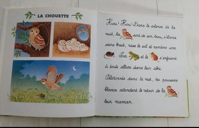 Lot de deux livres je lis - photo numéro 3