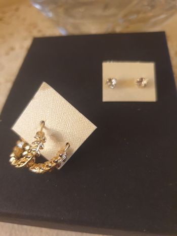 Lot 2 paires boucles d'oreilles fille 