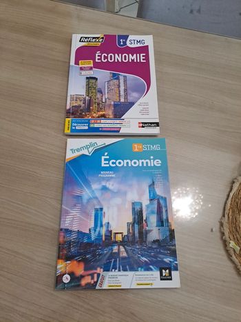 Lot manuel Économie 1ere STMG