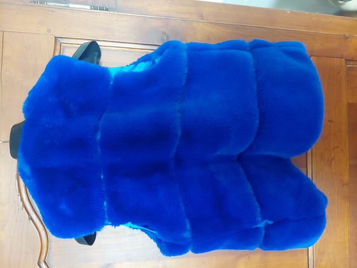 Gilet femme poils bleu - photo numéro 2