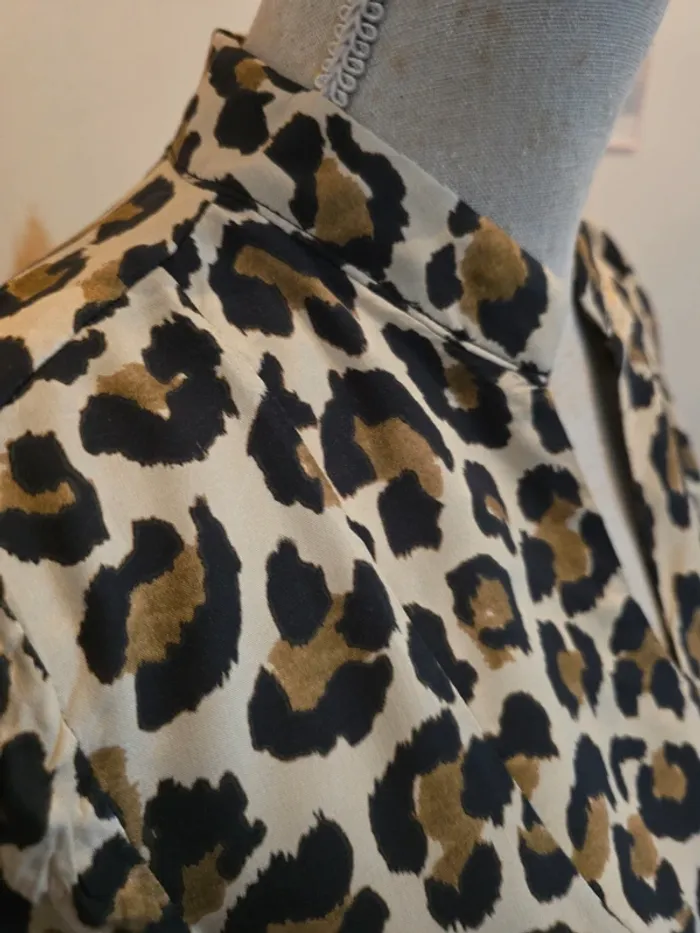 Robe léopard - photo numéro 3