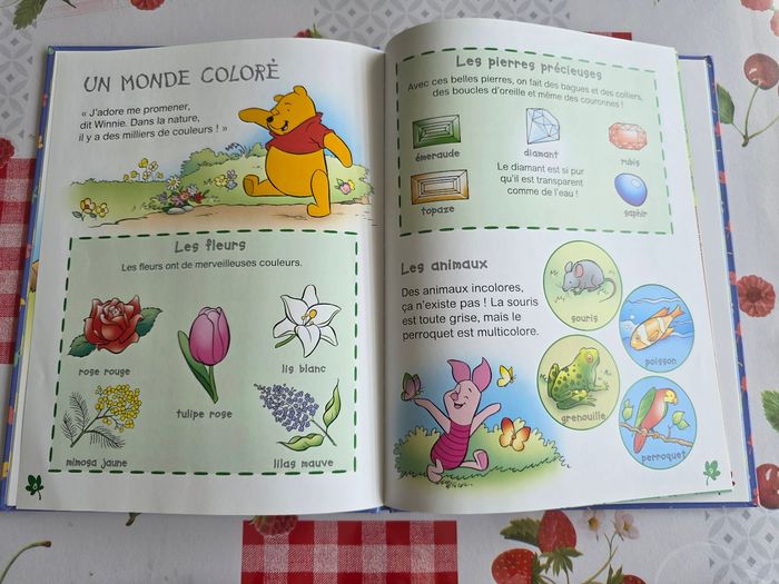 LIVRE DISNEY WINNIE L'OURSON À  LA DÉCOUVERTE DES COULEURS 🔴🟠🟣🔵🟡 NEUF MARQUE HACHETTE - photo numéro 5