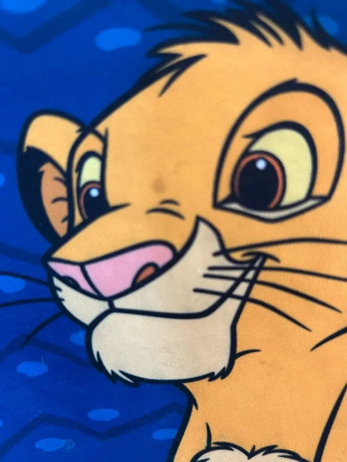 Sac à dos Roi lion - photo numéro 4