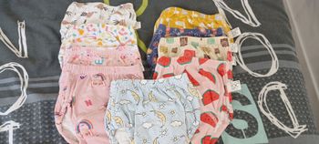 Culotte apprentissage.
