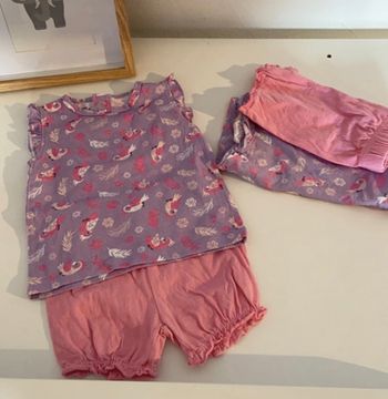 2 ensembles