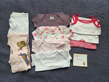 Lot bodies été fille 6 mois
