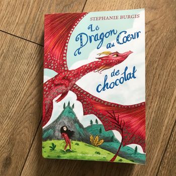 Livre le dragon au cœur de chocolat