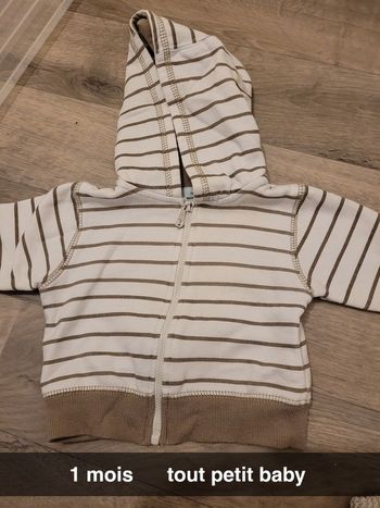 Veste