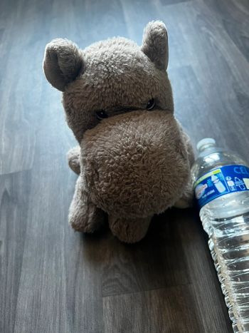 Doudou hippopotame