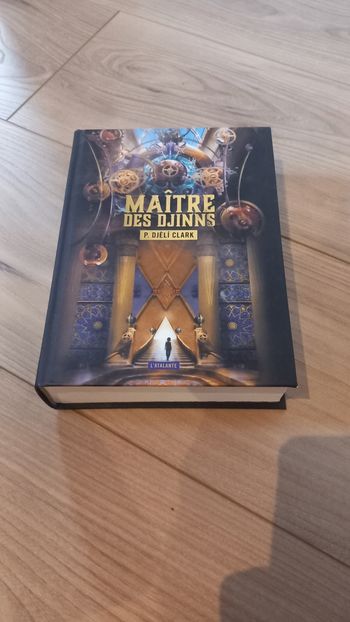Livre Maître des Djinns