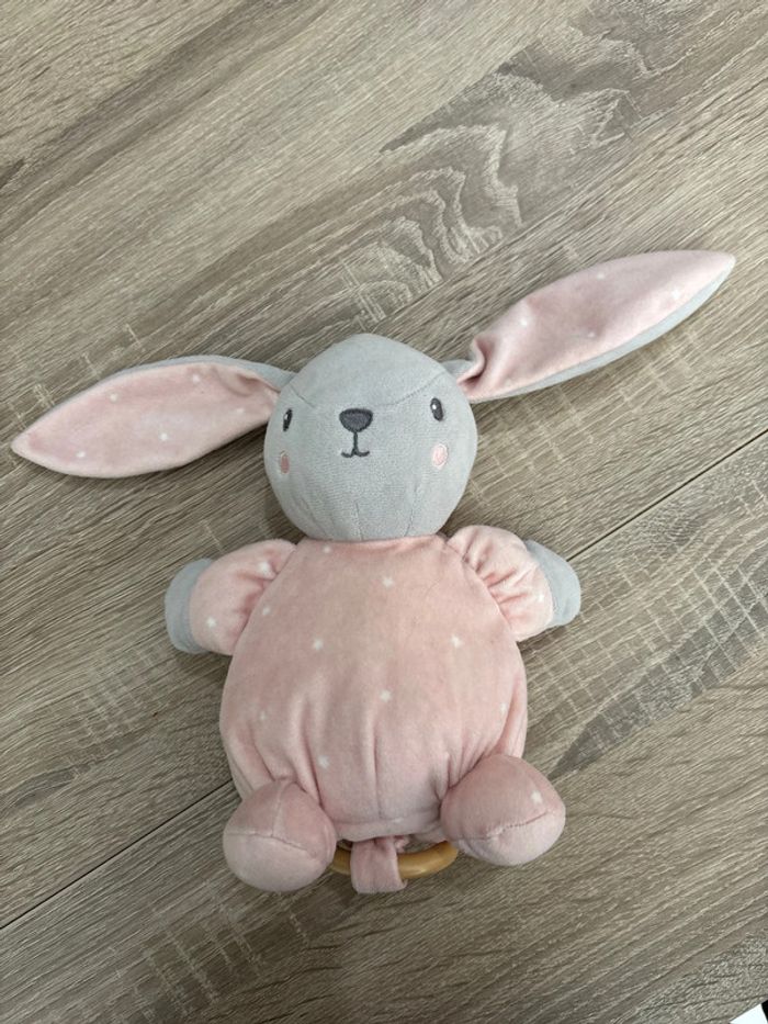 Lapin musical - photo numéro 2