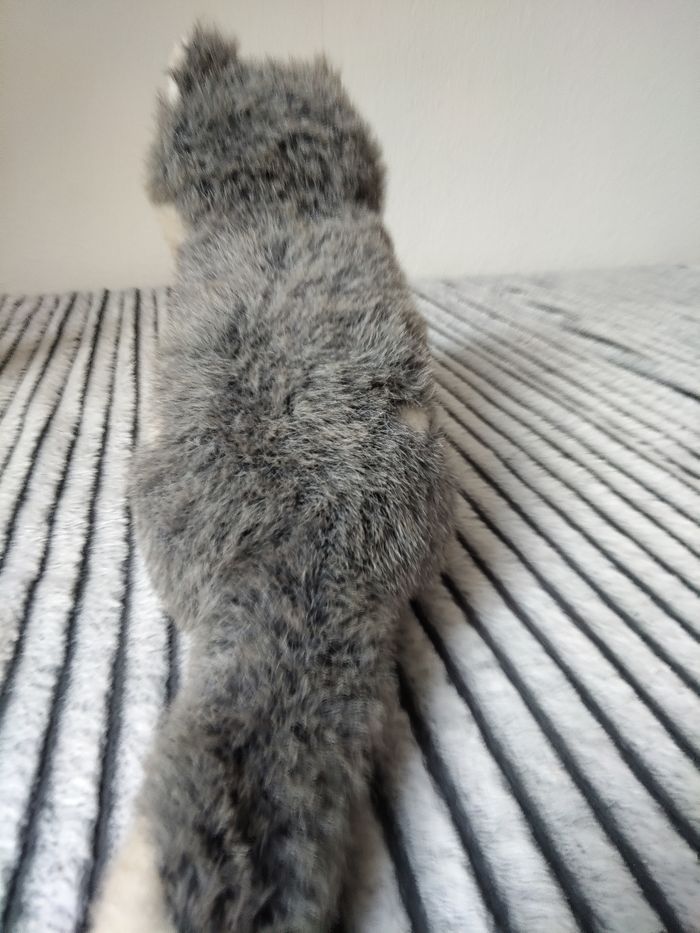Peluche chien husky - photo numéro 4