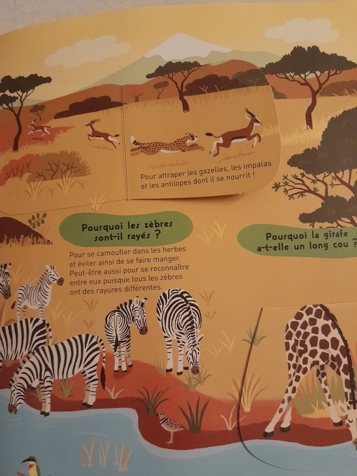 Kididoc des pourquoi - photo numéro 3