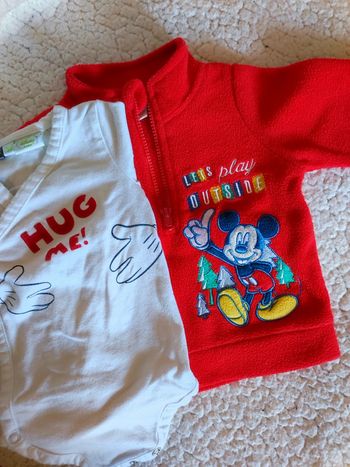 Lot pull et bodie Disney
