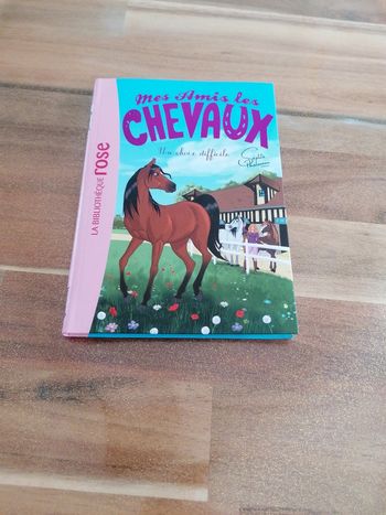 Livre mes amis les chevaux un choix difficile