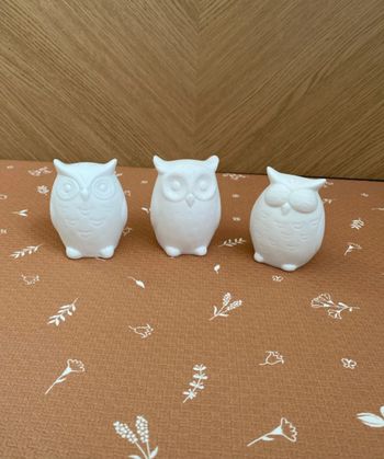 Lot deco chouettes lumineuses