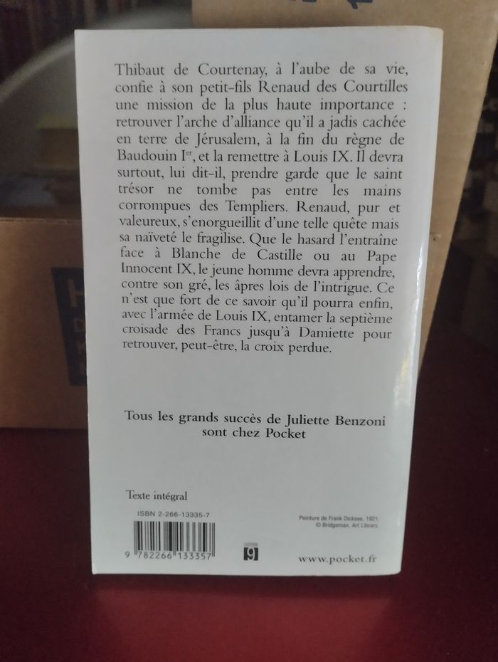 Les chevaliers T2 Renaud ou la malédiction - photo numéro 2