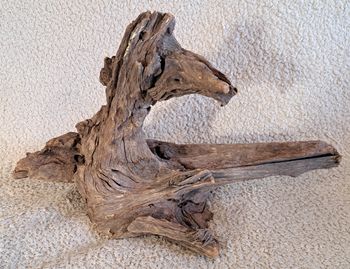 Grand morceau de bois flotté