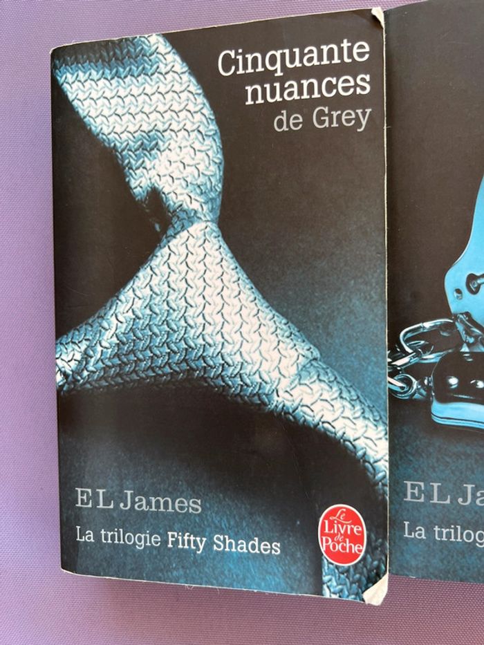 Cinquante nuances de grey - photo numéro 2