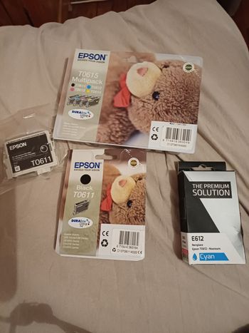 Ensemble de cartouches d encres epson