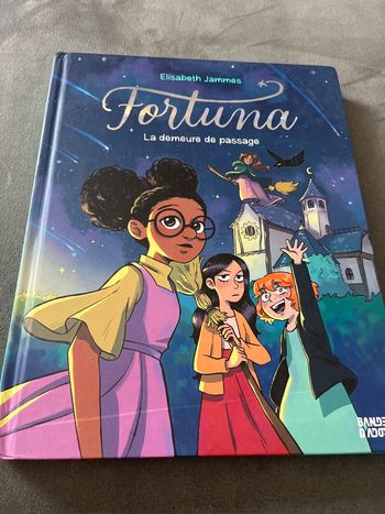 Bd bande d’ados fortuna tome 1