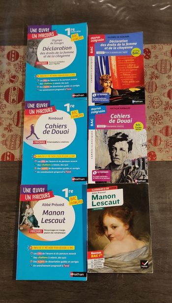 Lot livres pour bac français 