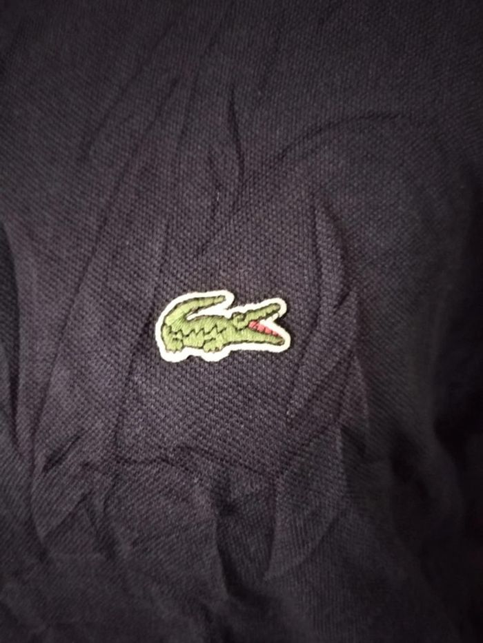 Polo lacoste L - photo numéro 3