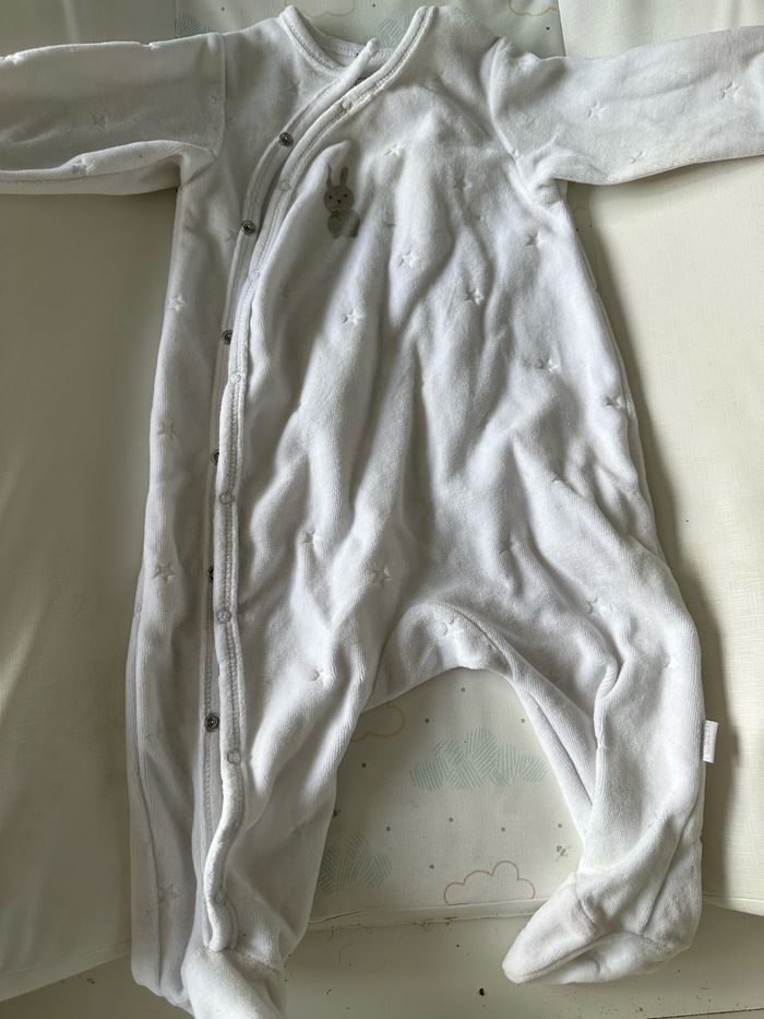 Grenouillère - photo numéro 2