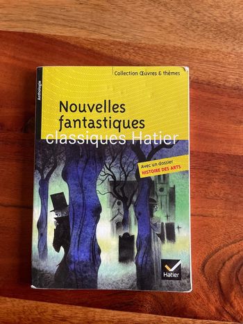 Nouvelles fantastiques